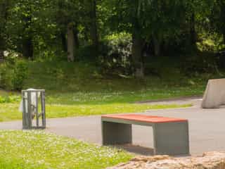 L'orme à Moineaux